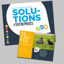 brochure institutionnelles solutions entreprises