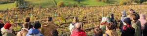 formations-courtes-esa-viticulture