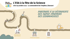 Les légumineuses face aux changements climatiques