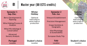 programme première année master vintage