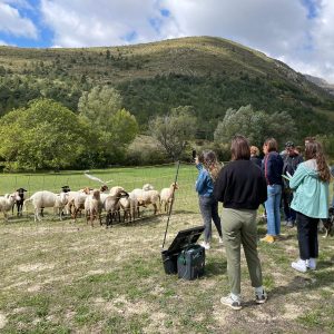 Etudiants ingénieur environnement en visite