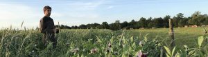 L'ingenieur environnement analyse l'impact de l'agriculture