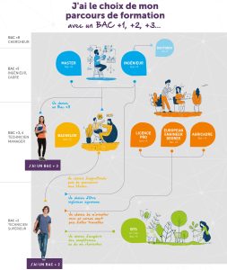 Infographie offres formations ESA ingénieur agri