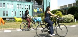 Se loger et se déplacer à Angers
