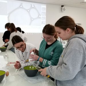 Formation ingénieur ESA Angers et Paris