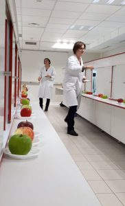 Ecole agroalimentaire analyse sensorielle