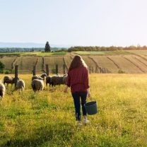 nouveaux installés