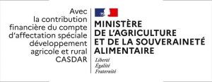 logo casdar