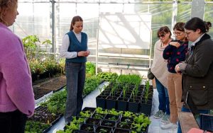 Le Bachelor agroécologie et systèmes alimentaires est accessible par apprentissage en 3e année