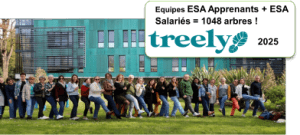 Équipes ESAApprenants et ESASalariés, Treely