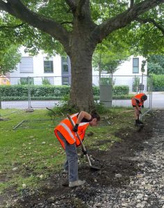 Franco-German cooperation: landscape and horticulture apprentices join forces in Osnabrück