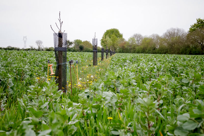 Découvrez le Bachelor Agro mention Génie agronomique et transitions