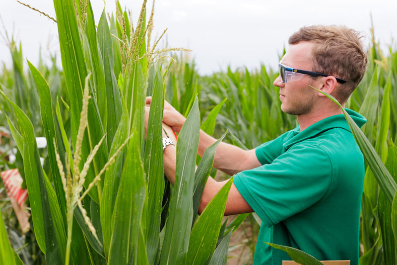 Bachelor Agro mention Génie agronomique et transitions formation ESA
