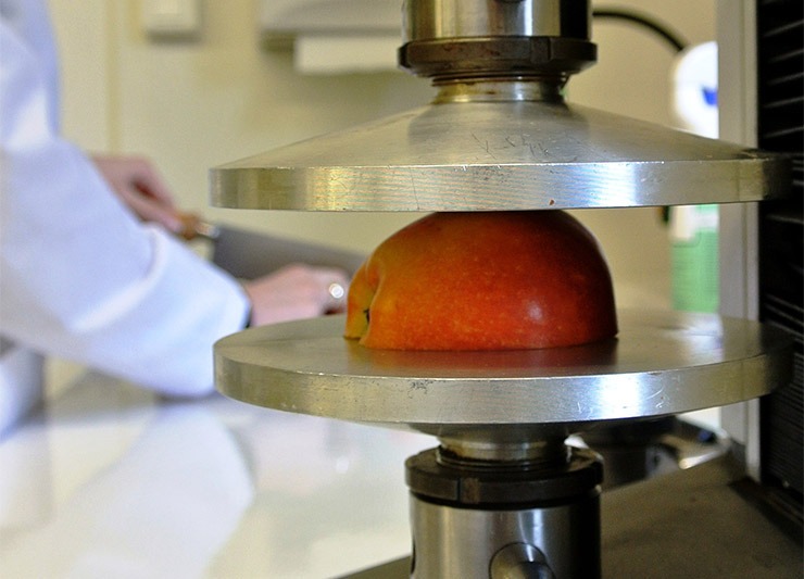demi pomme sous un pressoir