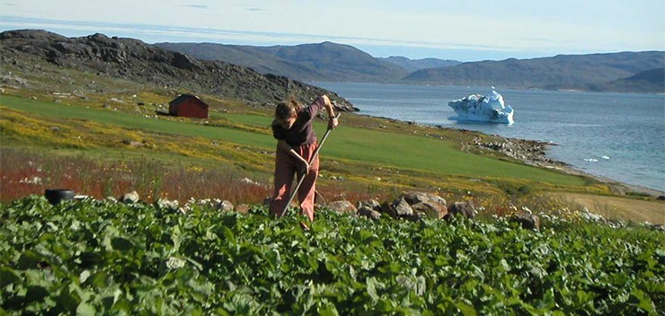 agriculture proche de la mer