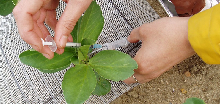 horticulteur au travail