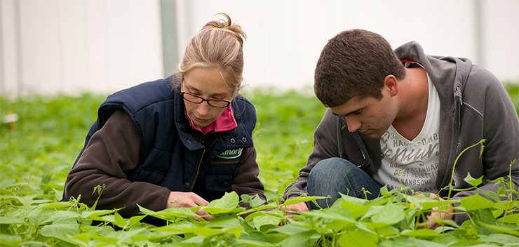 étudiant et professionnelle horticultrice