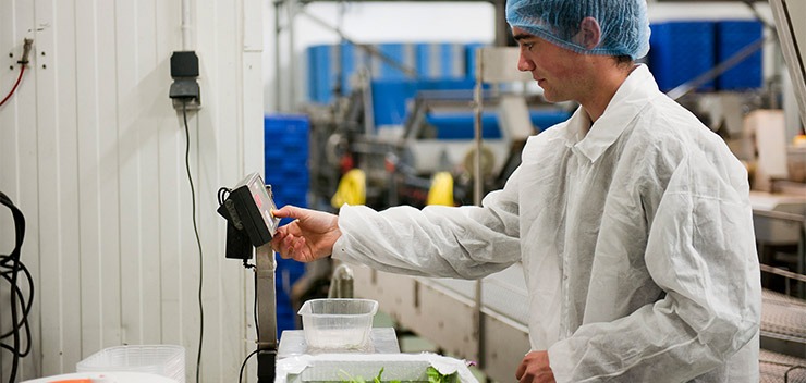 personne qui analyse de la salade