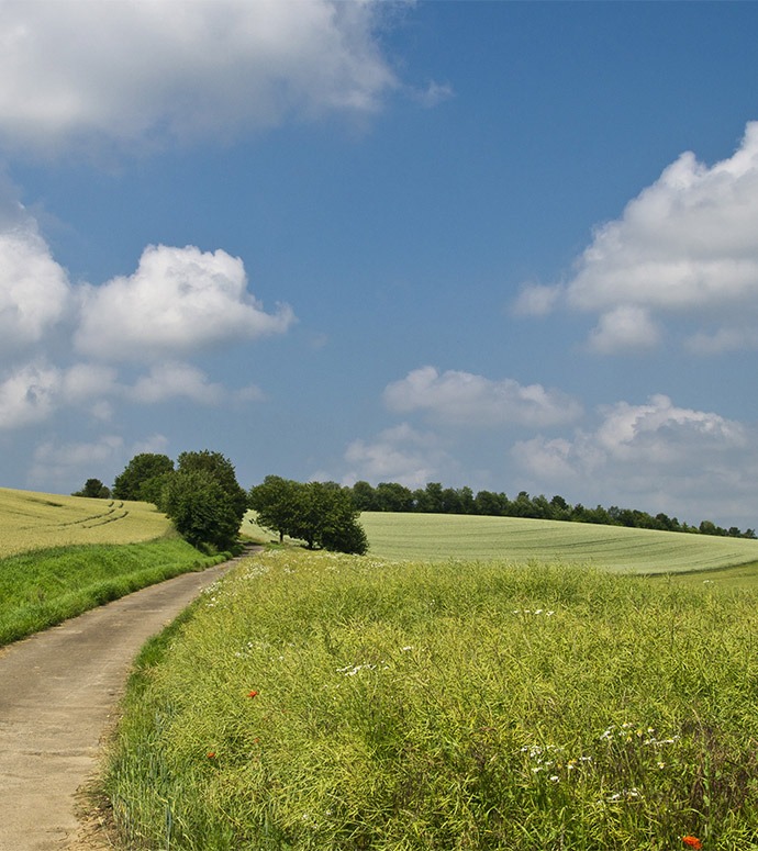 campagne