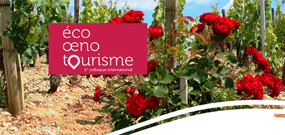actu eco oenotourisme