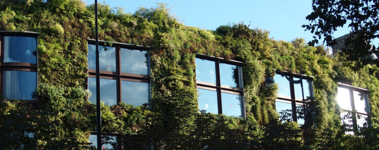 photo agriculture urbaine