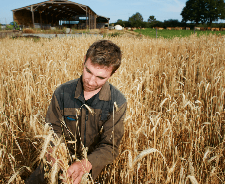 Étudiant dans les champs Bachelor Agro - Génie agronomique et transitions