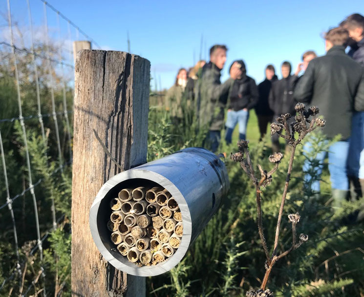 Bachelor agroécologie ESA