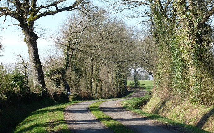 chemin de campagne