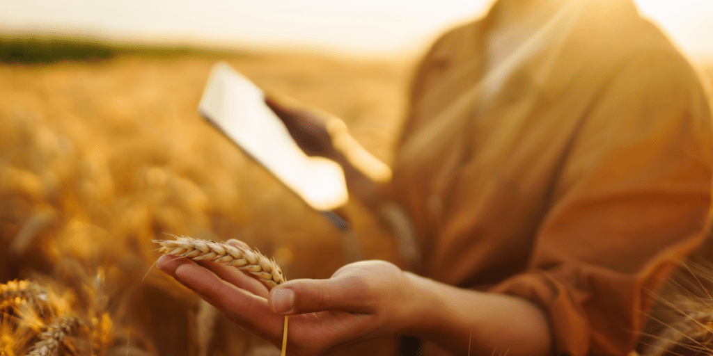 data engineer ou data scientist appliqué à l'agriculture