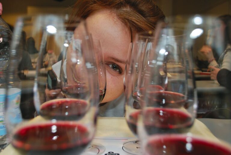 Diplome WSET formation vin