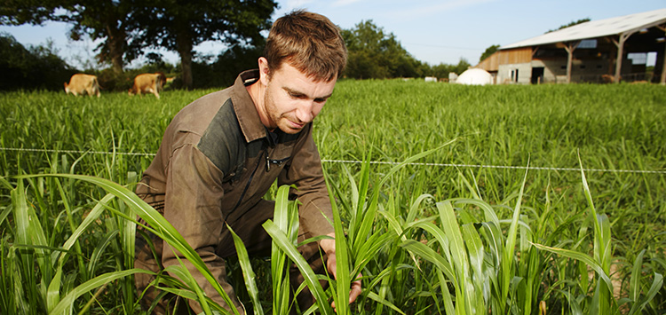 formation agriculture