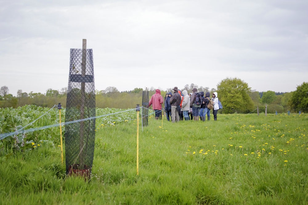 formation agricole à distance