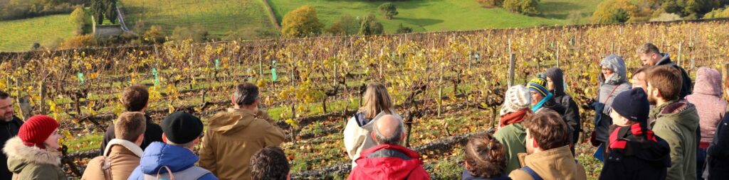 formation adulte reconversion