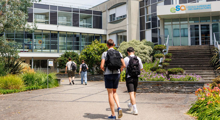 Frais de scolarité gratuit avec la bourse scolaire de l'ESA