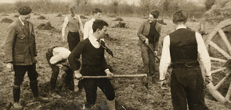 groupe d'hommes agriculteurs