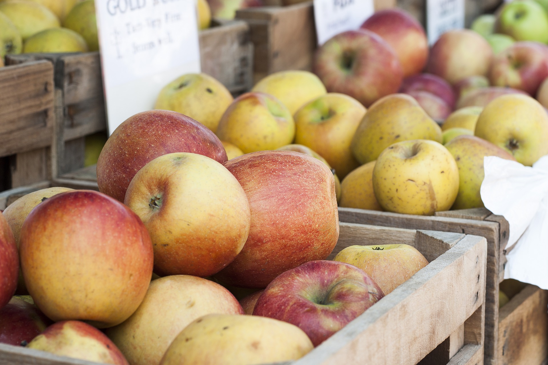 pomme dans des cageots