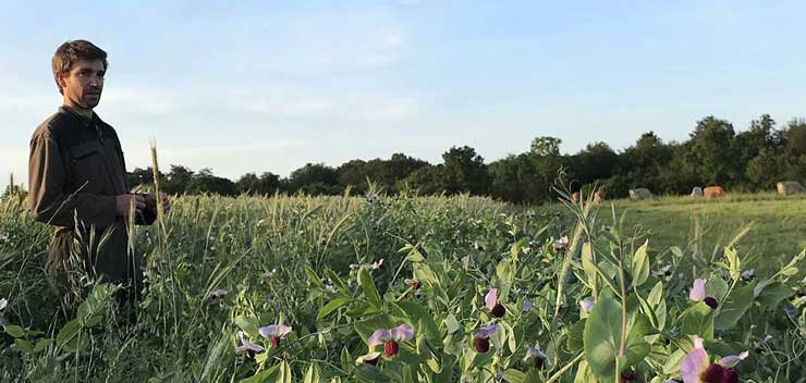 Devenir ingénieur agricole avec l'ESA