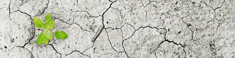 Changement-climatique-lecn-inaugurale-esa-ecole-superieure-d-agriculture