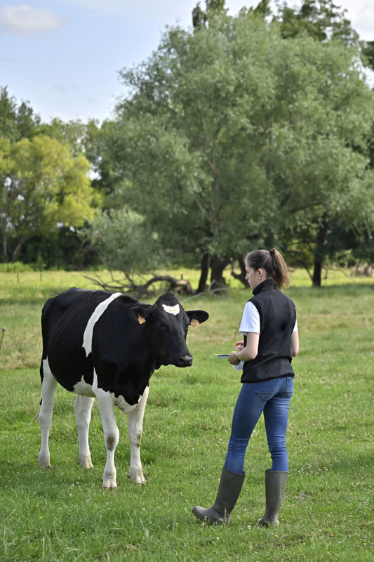 Licence pro productions animales PA : métier du conseil en élevage formation