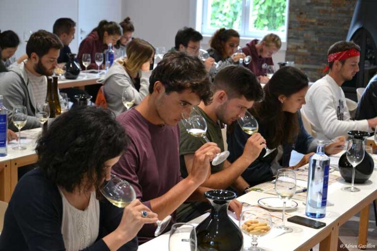 Découvrez le master vigne, vin et management du terroir, un programme unique dans 3 universités partenaires.