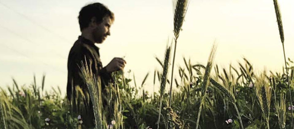 métier de la production végétale