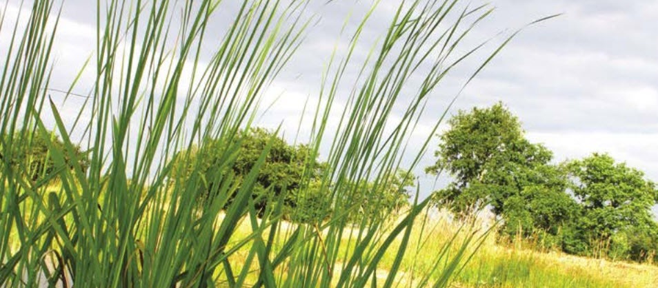 métiers de l'environnement