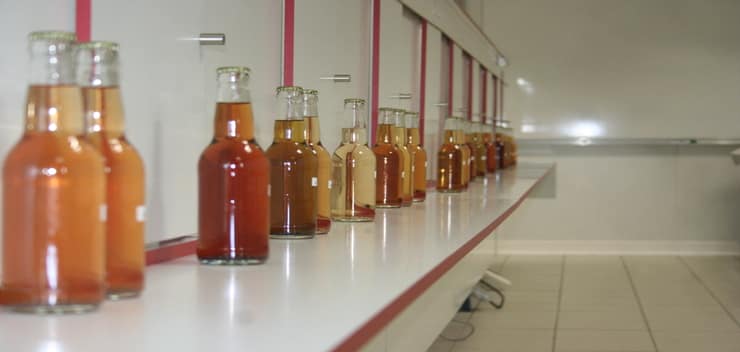 bouteilles de cidre dans un laboratoire GRAPPE expérience sur les différentes couleurs du cidre et leurs impacts