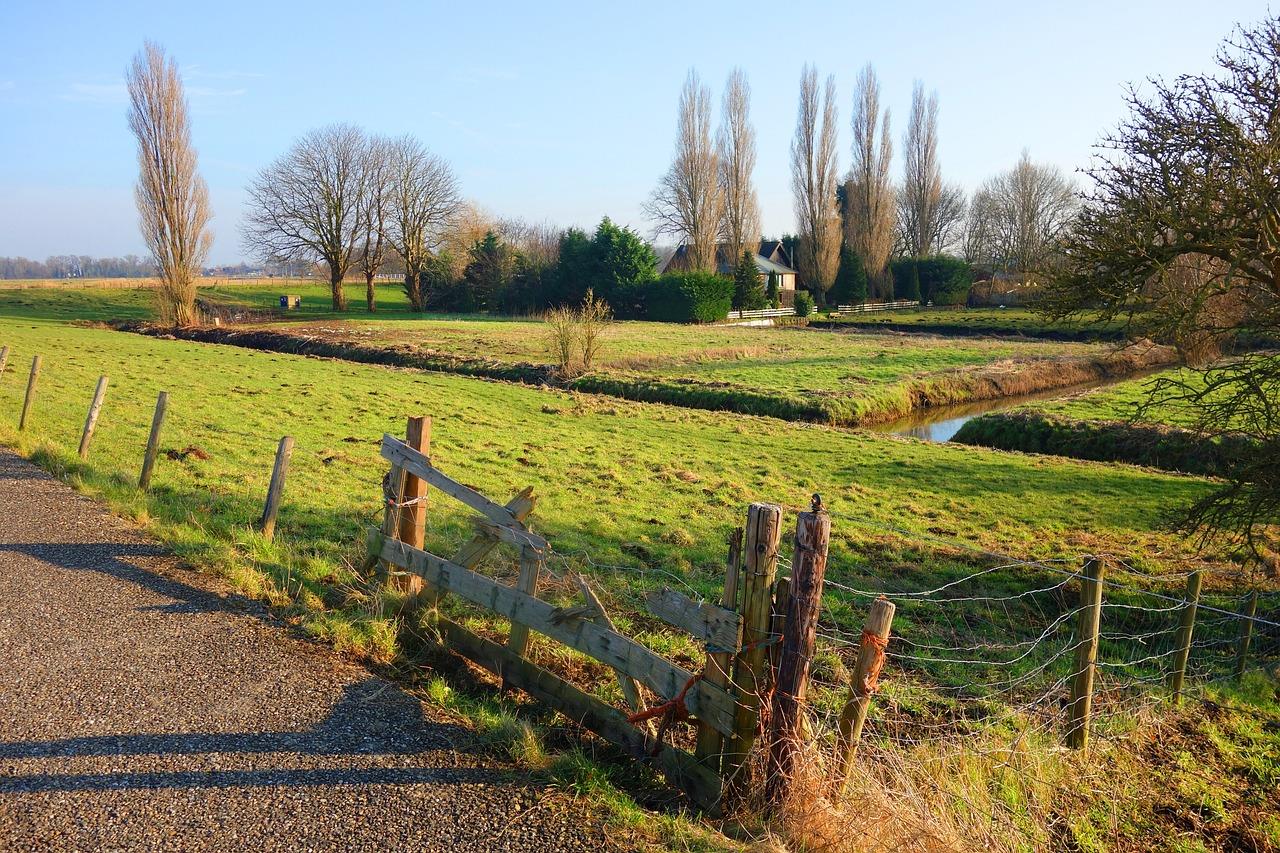 paysage ferme