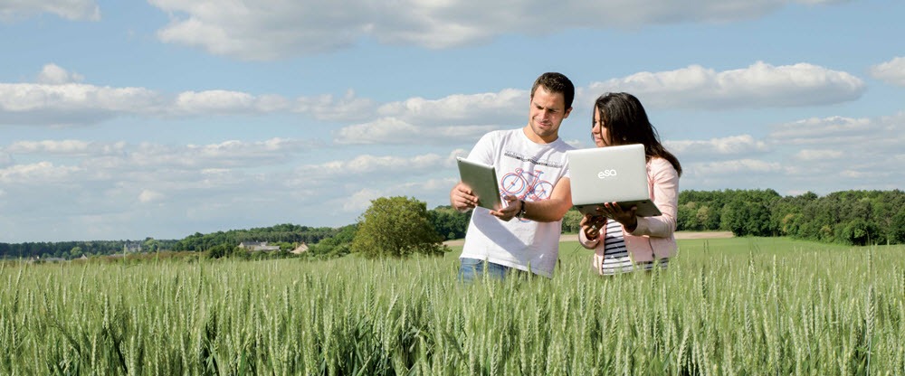responsable marketing agricole