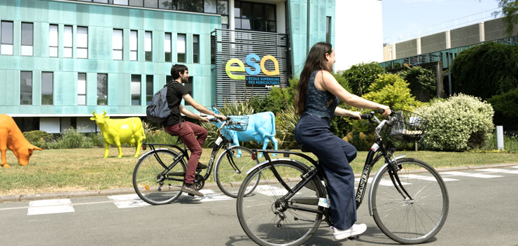 Se loger et se déplacer à Angers
