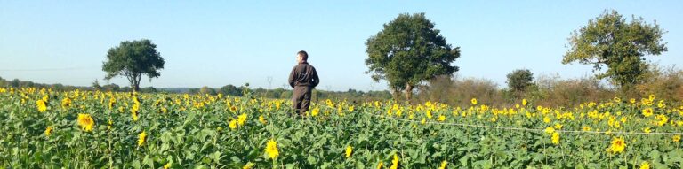 Les métiers de l'agriculture