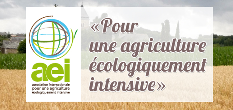 affiche seminaire AEI