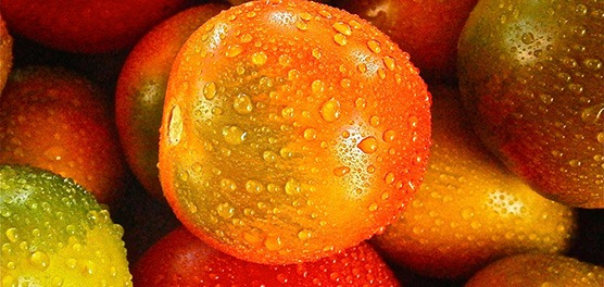 fruits