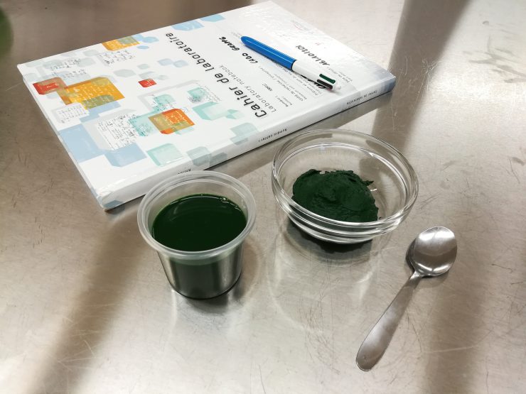 spiruline